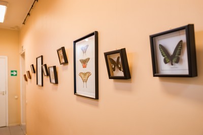 Стоматология «Дент Престиж» Марьино Москва 